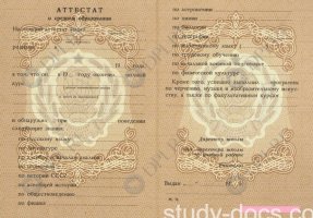 Аттестат 8 классов Аттестат 8 классов в Тольятти
