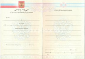 Аттестат за 9 класс 2007-2010 в Тольятти